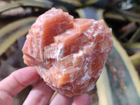 Natural Sunset Orange Rhombohedron Calcite Specimens x 12 From Spitzkop, Namibia