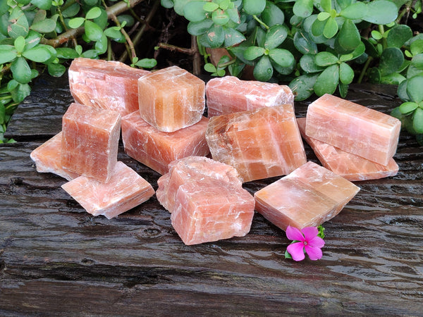 Natural Sunset Orange Rhombohedron Calcite Specimens x 12 From Spitzkop, Namibia