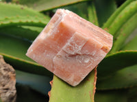 Natural Sunset Orange Rhombohedron Calcite Specimens x 12 From Spitzkop, Namibia