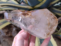 Polished Large Bright Double Terminated Window Quartz Crystal x 1 From Madagascar