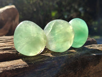 Polished Green Fluorite Palm Stones x 20 From Madagascar