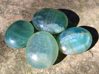 Polished Green Fluorite Palm Stones x 20 From Madagascar