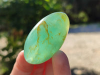 Polished Green Fluorite Palm Stones x 20 From Madagascar