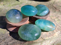 Polished Green Fluorite Palm Stones x 20 From Madagascar