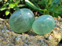 Polished Green Fluorite Palm Stones x 20 From Madagascar