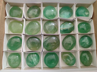 Polished Green Fluorite Palm Stones x 20 From Madagascar