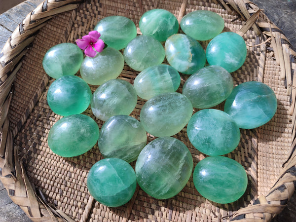 Polished Green Fluorite Palm Stones x 20 From Madagascar