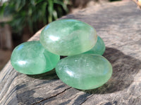 Polished Green Fluorite Palm Stones x 20 From Madagascar