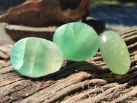 Polished Green Fluorite Palm Stones x 20 From Madagascar