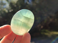 Polished Green Fluorite Palm Stones x 20 From Madagascar