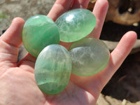 Polished Green Fluorite Palm Stones x 20 From Madagascar