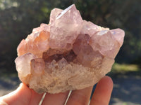Natural Sunburst Cactus Flower Spirit Amethyst Clusters x 4 From South Africa