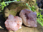 Natural Sunburst Cactus Flower Spirit Amethyst Clusters x 4 From South Africa - Toprock Gemstones and Minerals 