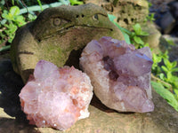 Natural Sunburst Cactus Flower Spirit Amethyst Clusters x 4 From South Africa