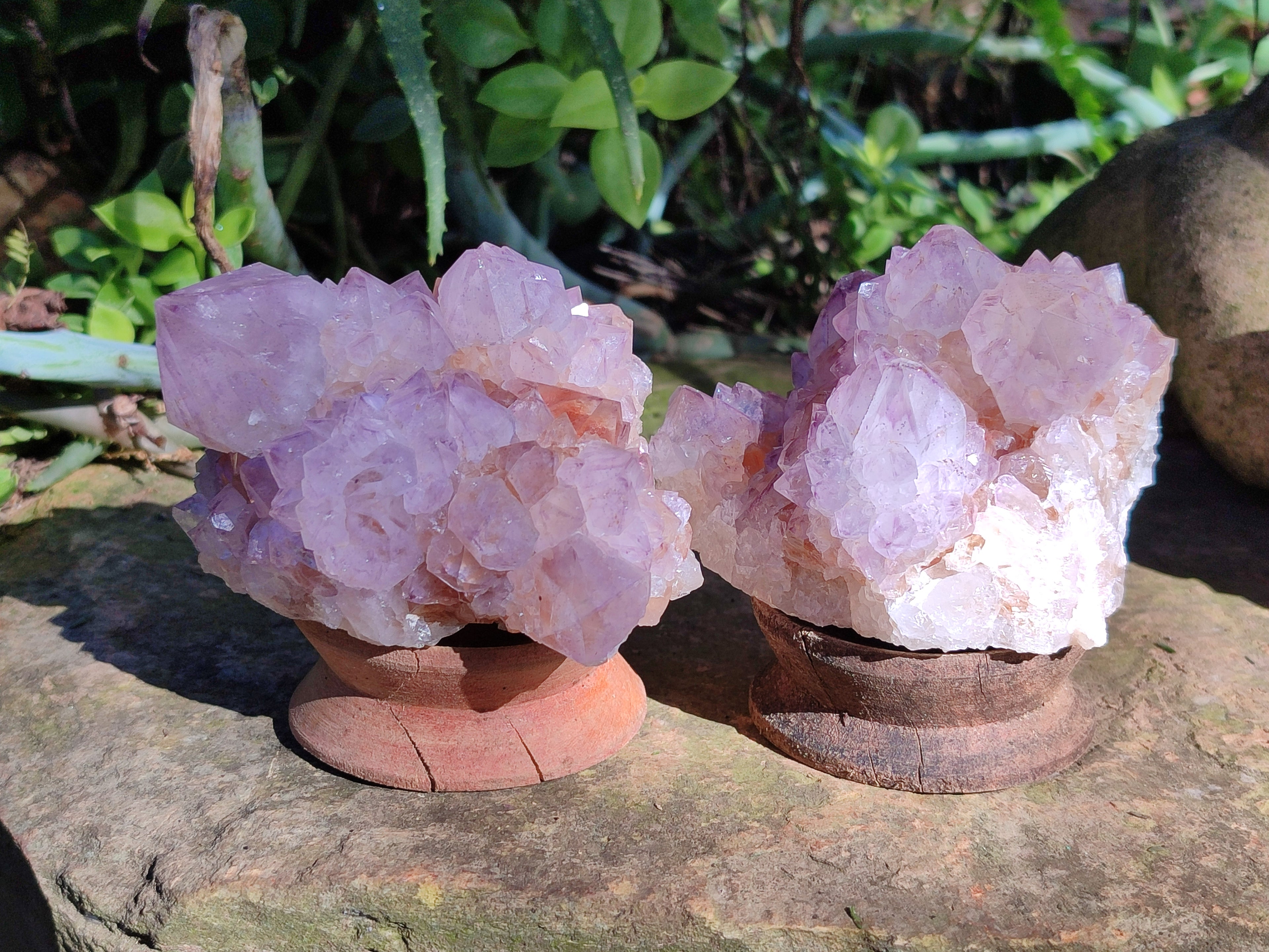 Natural Sunburst Cactus Flower Spirit Amethyst Clusters x 4 From South Africa - Toprock Gemstones and Minerals 