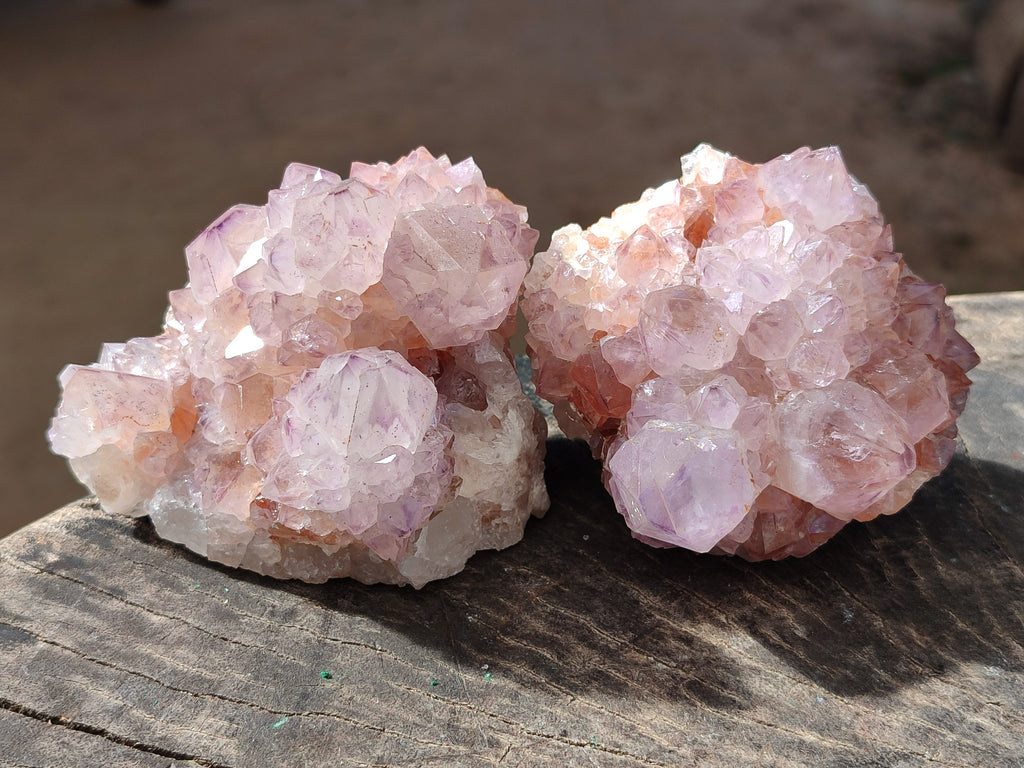 Natural Sunburst Cactus Flower Spirit Amethyst Clusters x 4 From South Africa - Toprock Gemstones and Minerals 