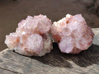 Natural Sunburst Cactus Flower Spirit Amethyst Clusters x 4 From South Africa - Toprock Gemstones and Minerals 