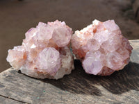 Natural Sunburst Cactus Flower Spirit Amethyst Clusters x 4 From South Africa
