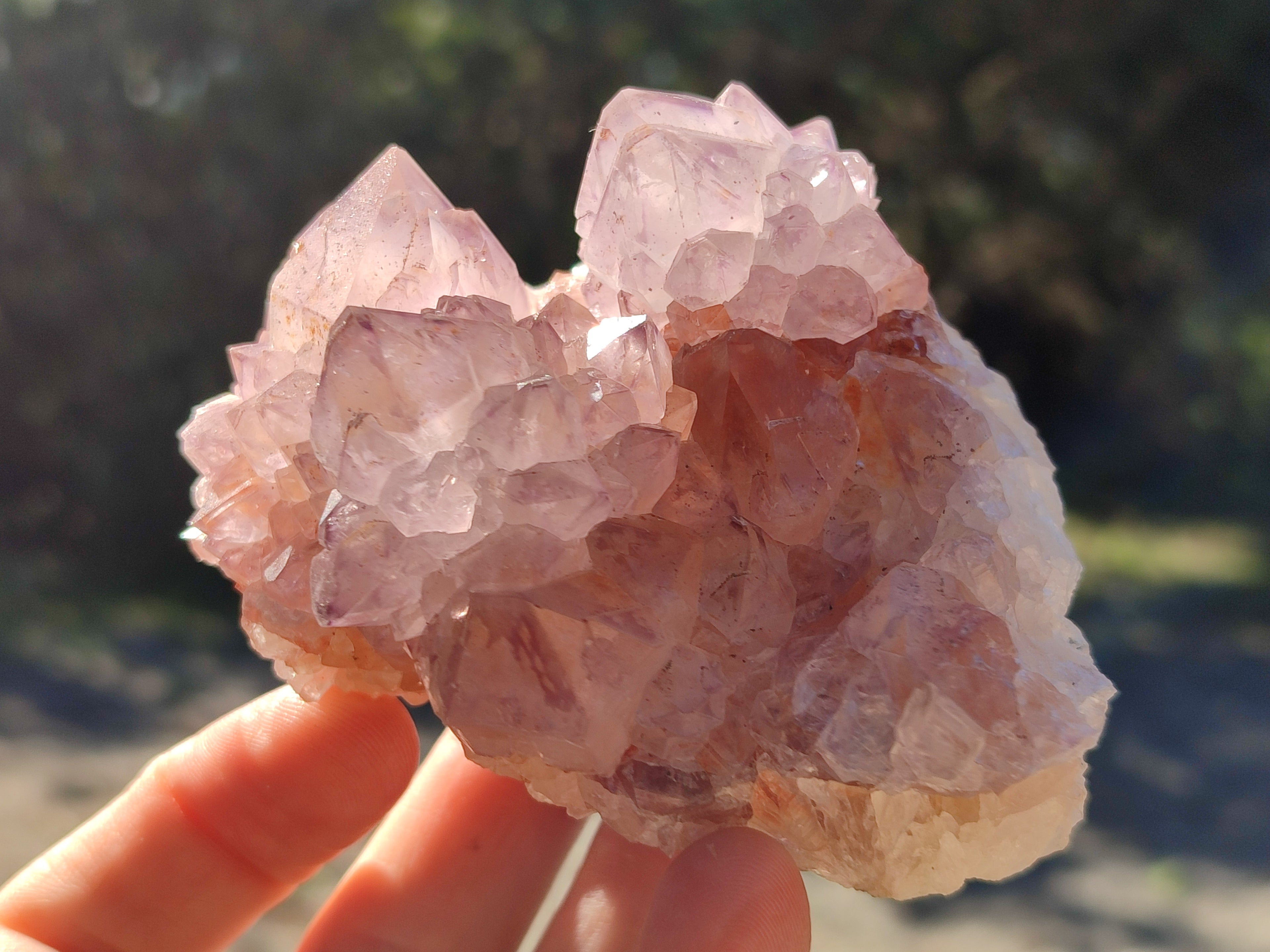 Natural Sunburst Cactus Flower Spirit Amethyst Clusters x 4 From South Africa - Toprock Gemstones and Minerals 