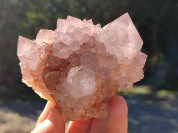 Natural Sunburst Cactus Flower Spirit Amethyst Clusters x 4 From South Africa