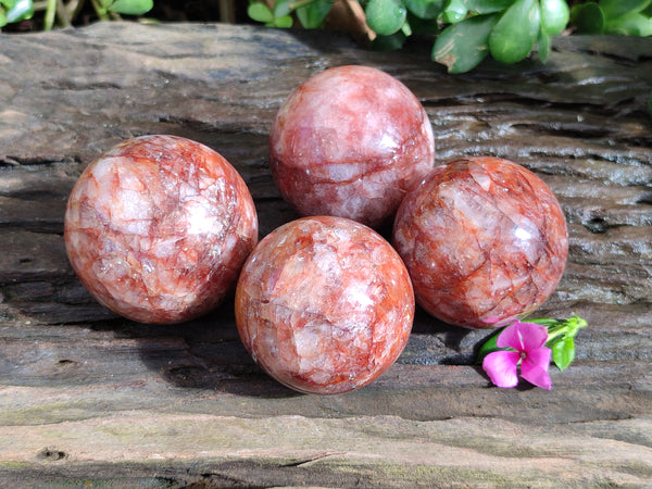 Polished Red Hematoid Quartz Spheres x 4 From Ambatondrazaka, Madagascar