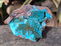 Natural Drusy Coated Chrysocolla on Dolomite Specimens x 2 From Likasi, Congo