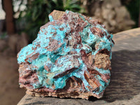 Natural Drusy Coated Chrysocolla on Dolomite Specimens x 2 From Likasi, Congo