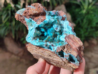 Natural Drusy Coated Chrysocolla on Dolomite Specimens x 2 From Likasi, Congo
