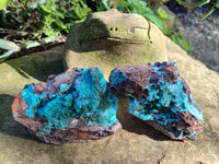 Natural Drusy Coated Chrysocolla on Dolomite Specimens x 2 From Likasi, Congo