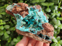 Natural Drusy Coated Chrysocolla on Dolomite Specimens x 2 From Likasi, Congo