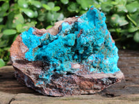 Natural Drusy Coated Chrysocolla on Dolomite Specimens x 2 From Likasi, Congo