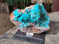 Natural Drusy Coated Chrysocolla on Dolomite Specimens x 2 From Likasi, Congo