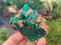 Natural Dioptase on Dolomite Matrix Specimens x 6 From Likasi, Congo