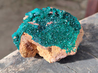 Natural Dioptase on Dolomite Matrix Specimens x 6 From Likasi, Congo