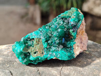 Natural Dioptase on Dolomite Matrix Specimens x 6 From Likasi, Congo