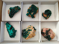 Natural Dioptase on Dolomite Matrix Specimens x 6 From Likasi, Congo