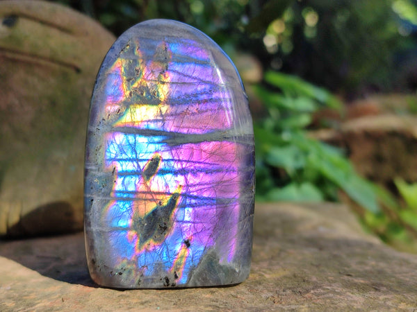 Polished Purple Flash Labradorite Standing Free Forms x 6 From Tulear, Madagascar