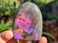 Polished Purple Flash Labradorite Standing Free Forms x 6 From Tulear, Madagascar