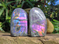 Polished Purple Flash Labradorite Standing Free Forms x 6 From Tulear, Madagascar