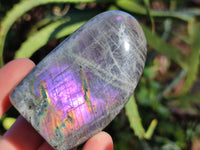 Polished Purple Flash Labradorite Standing Free Forms x 6 From Tulear, Madagascar