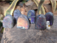 Polished Purple Flash Labradorite Standing Free Forms x 6 From Tulear, Madagascar
