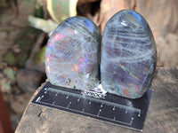 Polished Purple Flash Labradorite Standing Free Forms x 6 From Tulear, Madagascar