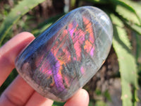Polished Purple Flash Labradorite Standing Free Forms x 6 From Tulear, Madagascar