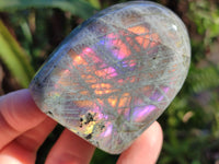 Polished Purple Flash Labradorite Standing Free Forms x 6 From Tulear, Madagascar