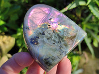 Polished Purple Flash Labradorite Standing Free Forms x 6 From Tulear, Madagascar