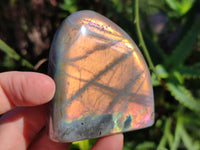 Polished Purple Flash Labradorite Standing Free Forms x 6 From Tulear, Madagascar