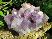 Natural Jacaranda Amethyst Quartz Cluster x 1 From Mumbwa, Zambia