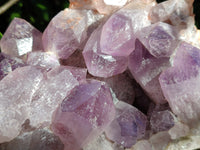 Natural Jacaranda Amethyst Quartz Cluster x 1 From Mumbwa, Zambia
