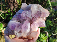 Natural Jacaranda Amethyst Quartz Cluster x 1 From Mumbwa, Zambia