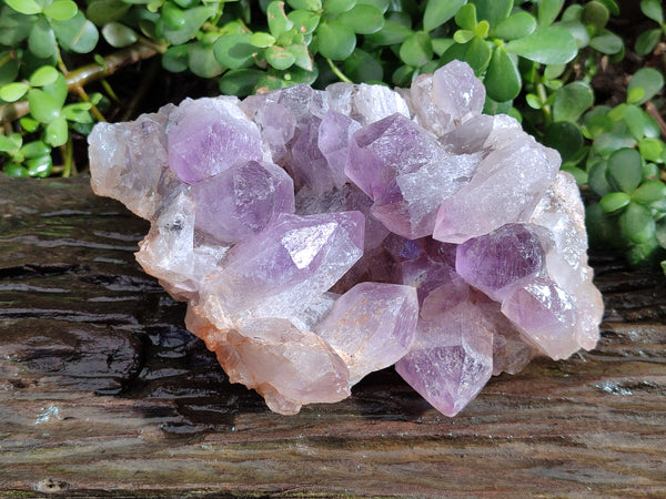 Natural Jacaranda Amethyst Quartz Cluster x 1 From Mumbwa, Zambia